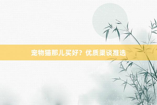 宠物猫那儿买好?优质渠谈推选